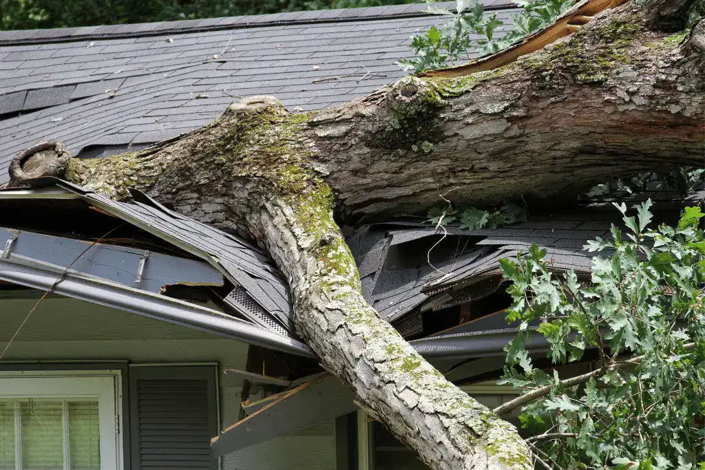 A Toronto home with widespread roof damage after a storm, requiring roof replacement.