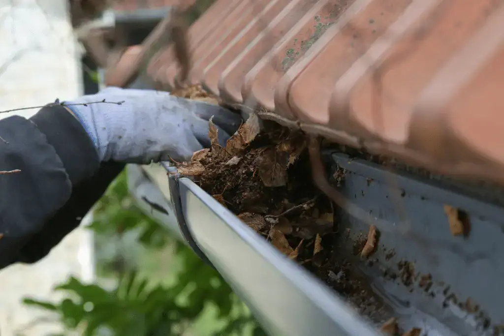Cleaning gutters and downspouts to prevent ice dams during winter.