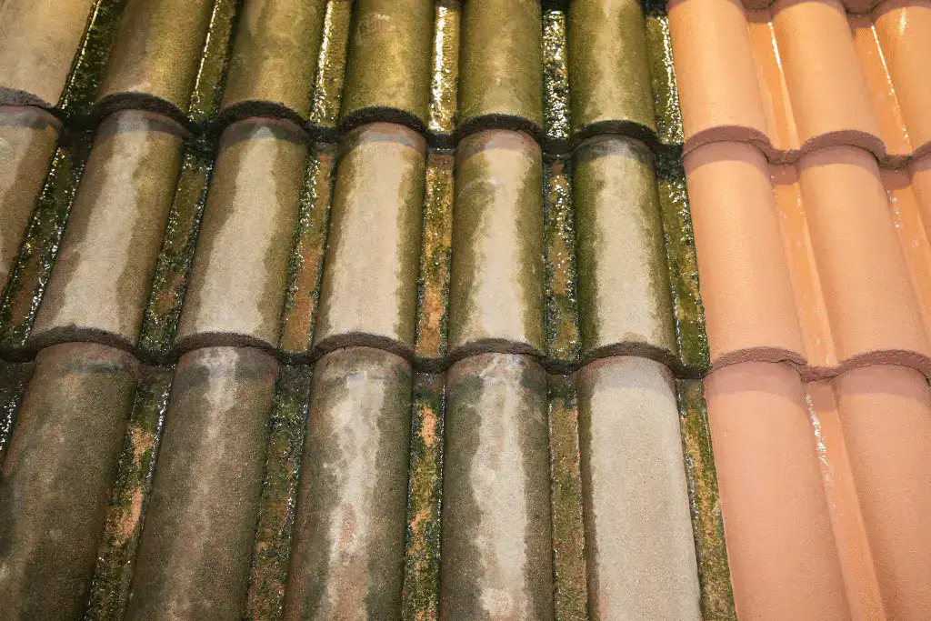 Comparison of a new roof and an old roof showing the difference in lifespan and wear.