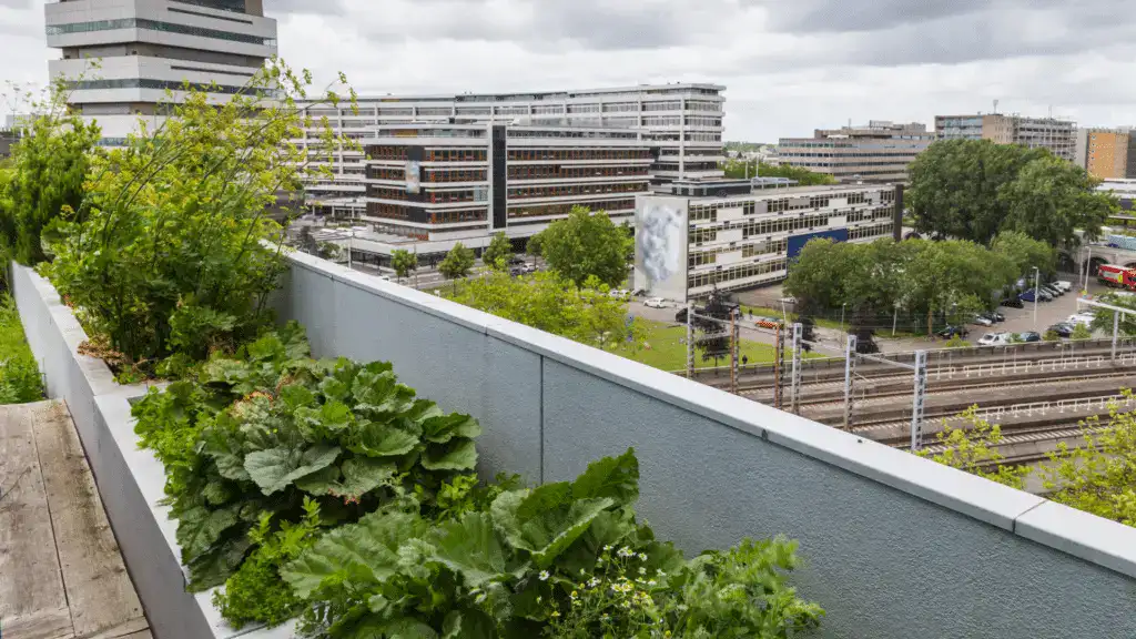 Sustainable green roof with vegetation on a modern building in Toronto.