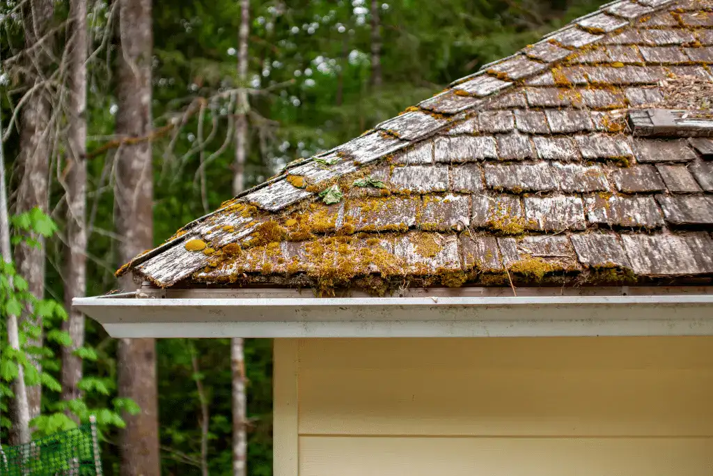 How Long Should Your Roof Last? Lifespan of Common Roofing Materials in Toronto