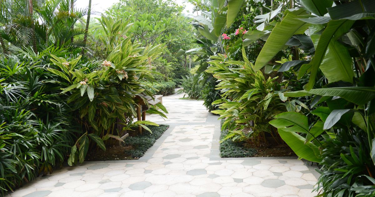 Paver Pathways