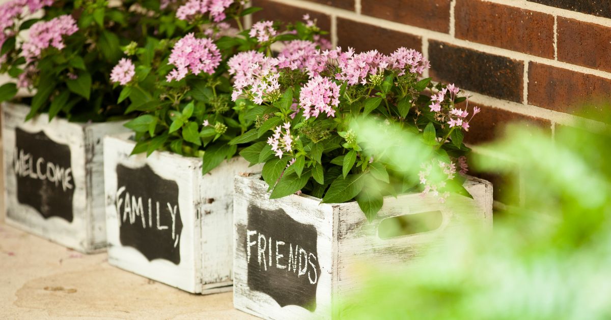 Planter Boxes