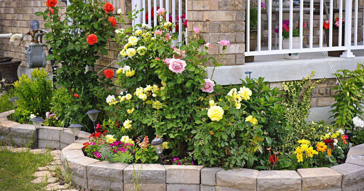 Raised Garden Beds