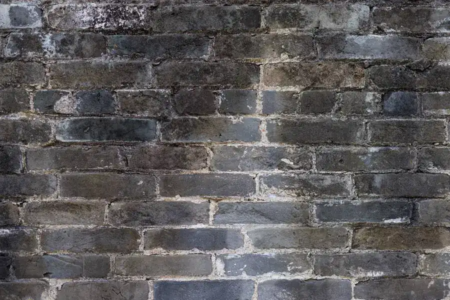 how to remove black mould on bricks