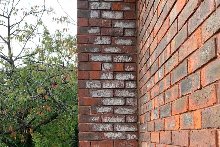 Efflorescence brick wall on house