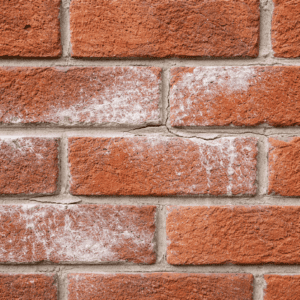 Close-up of white efflorescence, cracked mortar joints, and early brick surface wear on a Toronto home