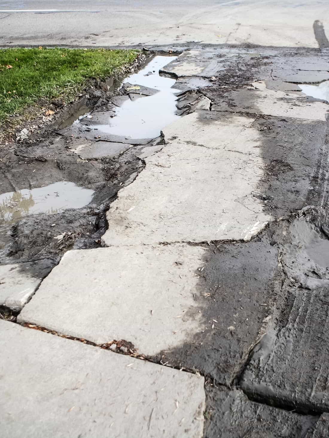 Cracked, uneven concrete driveway with broken slab edges, muddy joints, and standing water