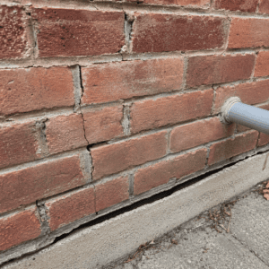 Small masonry gaps around brick and utility openings that can allow pest entry