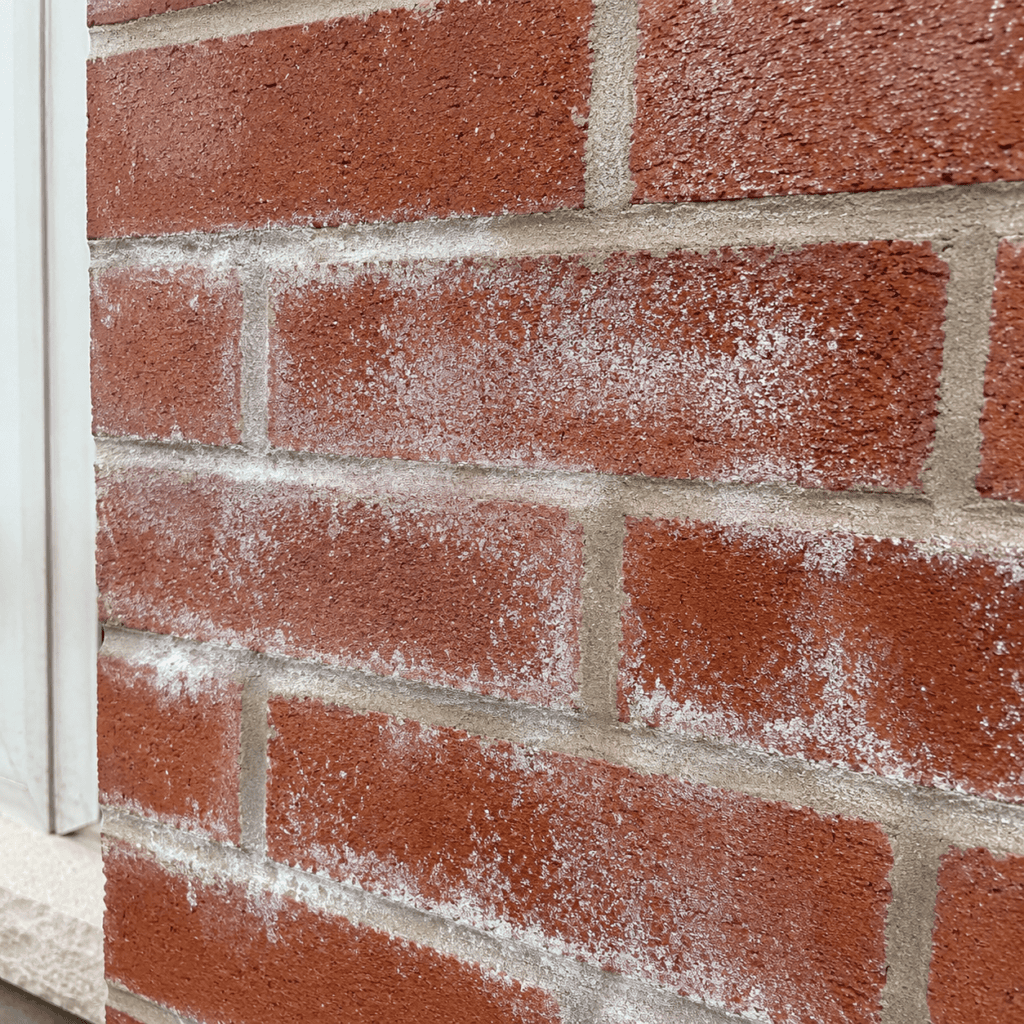 White efflorescence staining on red brick masonry