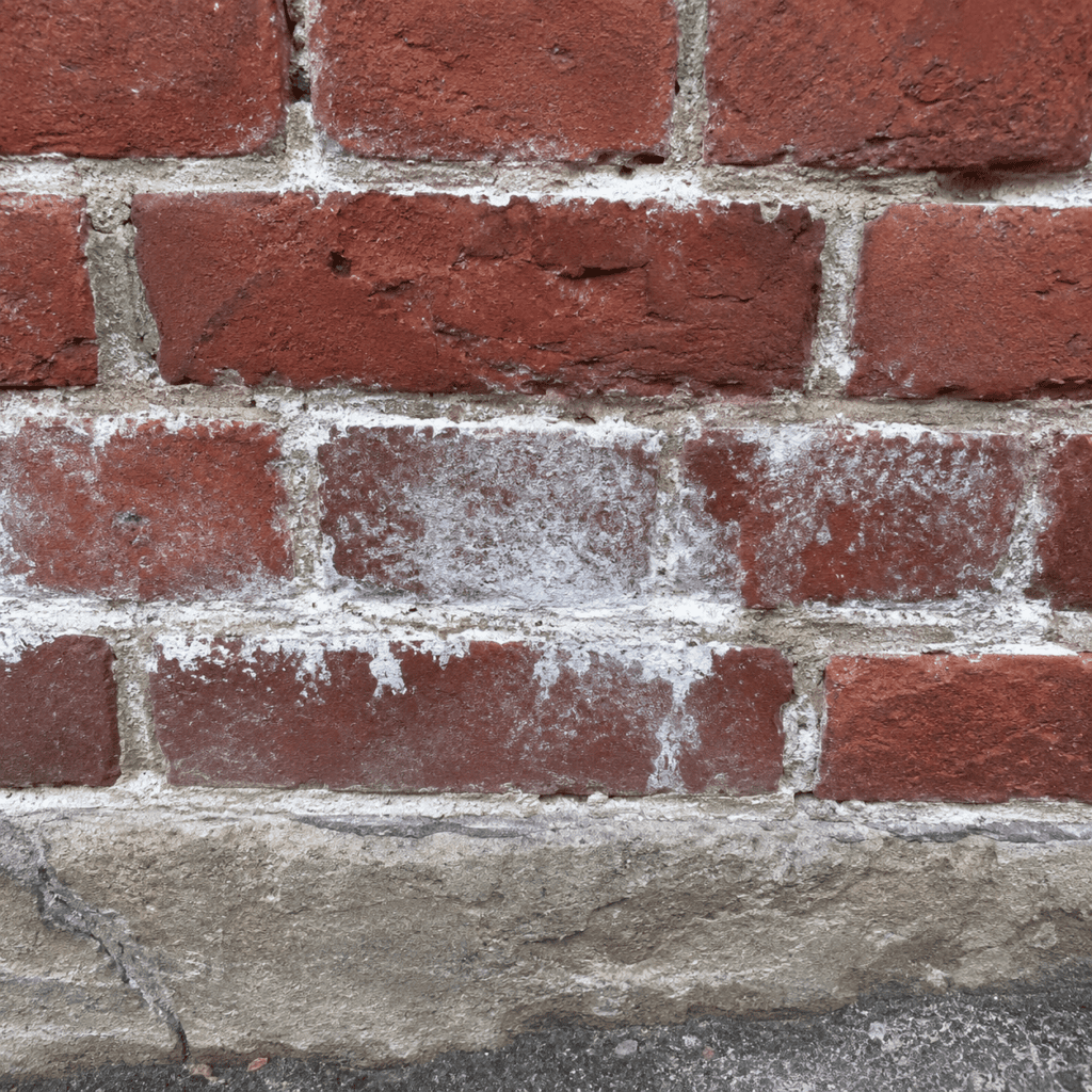 White efflorescence on historic red brick near a lower wall