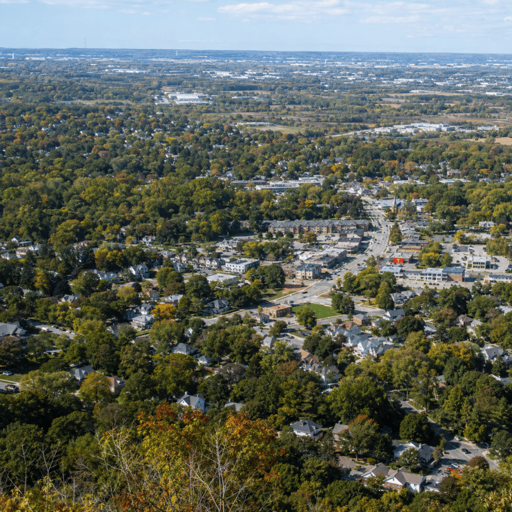 Aerial view of Hamilton with urban and green areas in autumn.