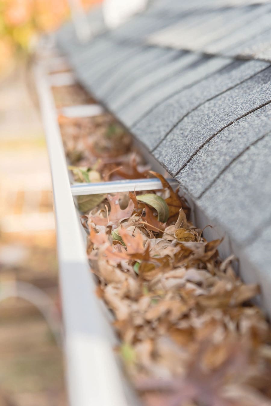 Eavestrough filled with fallen leaves along a shingled roof edge