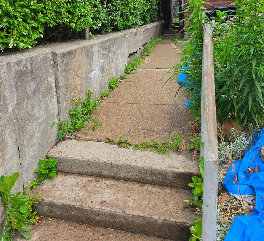 Weathered concrete retaining wall beside narrow concrete steps and overgrown garden beds