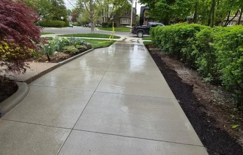 Newly poured concrete sidewalk with landscaping and trees.