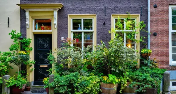 Purple-Painted-Bricks