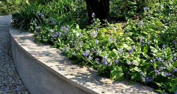 concrete-retaining-wall