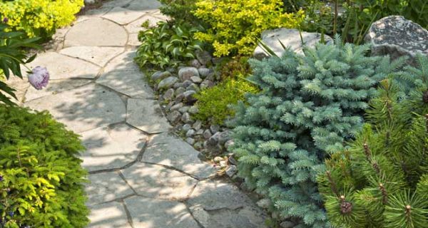 flagstonewalkway