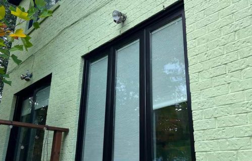 SurGuard Painted House