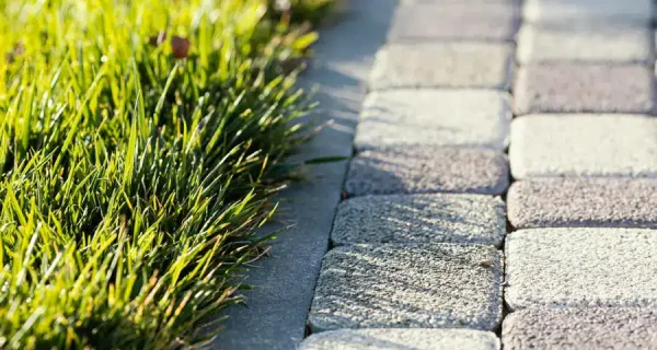 paving-stone-path